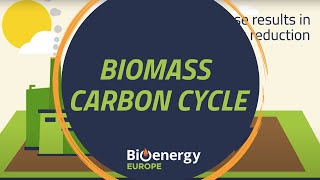 Biomass carbon cycle  Bioenergy explained [upl. by Gabrielli996]