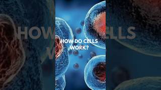 HOW DO CELLS WORK [upl. by Eniruam]