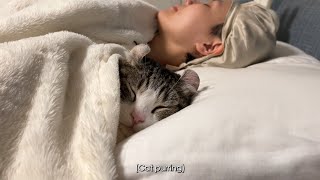 Sweetest Cat Sleeping with Human [upl. by Mateo]