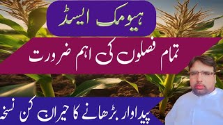 Benefits of Humic Acid Use of Humic Acid in CropsGhulam Shabeer Velogs [upl. by Delmer]