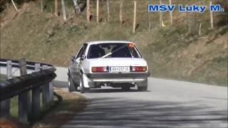 Lavanttal Rallye 2017 Gert Göberndorfer Monika Grabner [upl. by Anivek435]