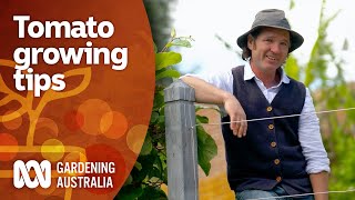 This tomato expert has some top tips for growing a great crop  Gardening 101  Gardening Australia [upl. by Oniratac]