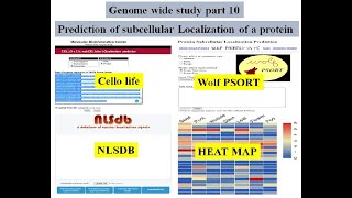 Genome wide study Part 10  Predicting protein subcellular localization [upl. by Dinsmore]