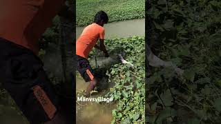 Unbelievable 😱 🐠Trap fishing fishing chembarambakkam fish reel சென்னை chennaifishingclub [upl. by Friedman]