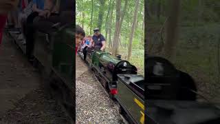 Roland George  Sir sacramore passing carriages at Ingfield manor light railway 8624 [upl. by Terrilyn]