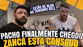 PACHOLOK FINALMENTE CHEGOU  ZANCANELLI ESTÁ MUITO CANSADO  FALTAM 5 DIAS [upl. by Rheims581]