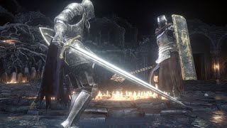 Lothric Knight VS Cathedral Knight [upl. by Shurlock]