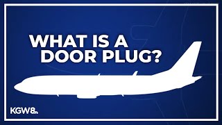 What is a plane door plug Explainer after Alaska Airlines 1282 blowout [upl. by Tjaden]