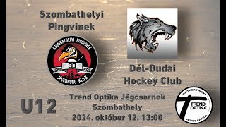 U12 80 Szombathelyi Pingvinek  Dél Budai HC 20241012 [upl. by Mullac216]