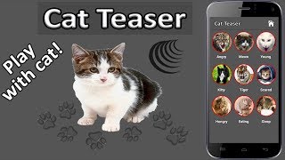 Cat teaser app [upl. by Donavon28]