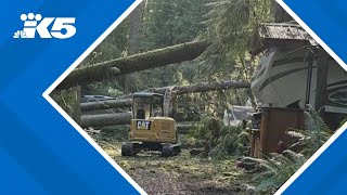 At least 50 RVs campers crushed by trees at Lake Stevens campground [upl. by Lleoj899]