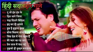 Hindi Gana🌹Sadabahar Song 💖हिंदी गाने 💔Purane Gane Mp3 💕Filmi Gaane अल्का याग्निक कुमार सानू गीत [upl. by Ddej918]