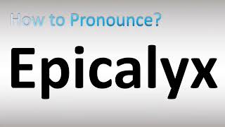 How to Pronounce Epicalyx [upl. by Whitman]