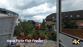 4K  Aqua Forte AquaForte Futterautomat Koi Fishfeeder Aufbau Erklärung 6mm Koifutter gut amp günstig [upl. by Ahseat985]