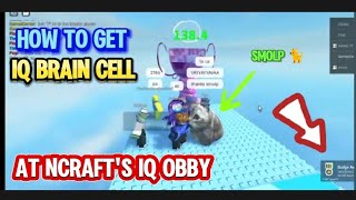 How to Get IQ Brain Cell 🧠 🏅🏆 at Ncrafts IQ Obby [upl. by Morentz436]