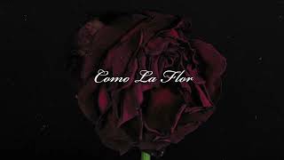 Como La Flor Selena Cover Official Lyric Video [upl. by Umeko411]