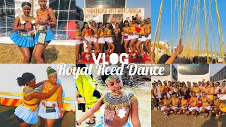 VLOG Umkhosi Womhlanga 2023❤️ Whole experience It was my first time attending Why did we run [upl. by Rockel261]