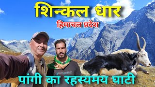 Visit In Shinkal Dhar Pangi Valley Near Hudan Bhatori Village  A Land Of Lord Shiva  Pahadi Vlog [upl. by Kcirdek]