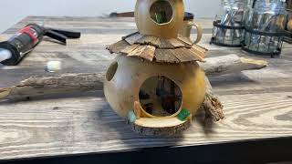 Day 2 Fairy House Gourds are Awesome [upl. by Dayle779]