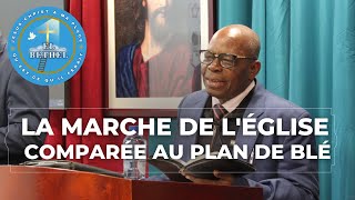 LA MARCHE DE LÉGLISE COMPARÉE AU PLAN DE BLÉ [upl. by Ettedanreb]