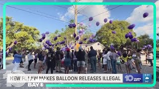 DeSantis signs bill banning balloon releases [upl. by Mohn]