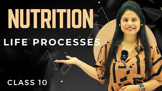 Nutrition  Chapter 5  Introduction  Class 10 Science  NCERT [upl. by Coletta]