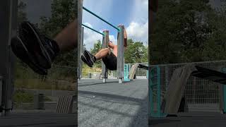 How Hard are These Muscle Ups  Rate it on The Scale 110 [upl. by Nywrad]