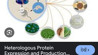 AIIMSampNEET BIOLOGY ampCSIRNET LIFESCIENCESheterologous gene expression [upl. by Occer]