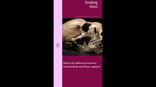 Neanderthals and Homo Sapiens A Comparison [upl. by Binah]