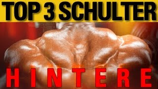 Top 3 Übungen  hintere Schulter [upl. by Ecitnerp]