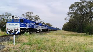 MAN004  MAN008 Manildra group new grain train SSR crew NEA silos NSW 10112024 [upl. by Enahsal]