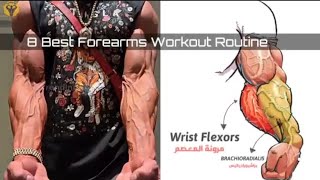 8 Best Forearms Workout Routine [upl. by Aemat]