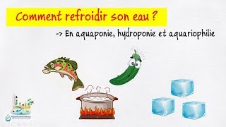 ❄️ Refroidir son eau en aquaponie hydroponie et aquariophilie [upl. by Hajile272]