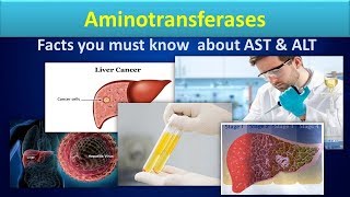 AminotransferaseClear overview about ASTALT [upl. by Stoops]