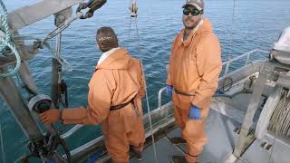 Halibut Longlining at the Geeses  Kodiak Alaska 2023 Fishing Season [upl. by Aleras539]