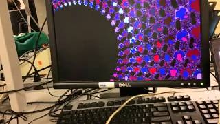 Mandelbrot FFT color animation and zoom [upl. by Godspeed]