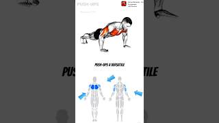 PUSH  UP fitness workout fullbodyworkout homeworkout execrise chest gym pushups [upl. by Eendys]