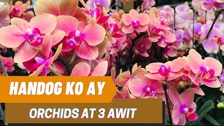 Kanta Tayo Ng Awiting Simbahan gospelsongs orchids awitingsimbahan [upl. by Namyac936]