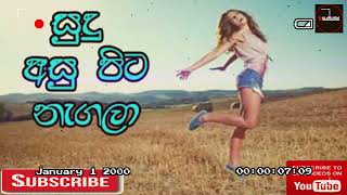 2023 Sudu Asu Pita Nagala Dj Dulanjana Papare Beat Remix [upl. by Millard]