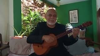 Mi Cuatro Romántico  Joropo de Moisés Moleiro instrumental [upl. by Tatia]