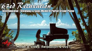 Model B Vibes Relaxation amp Joy  Steinway amp Sons Model B Parlor Grand Piano  63ed Relaxation [upl. by Mungo]