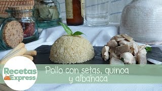 Pollo con setas quinoa y albahaca 🍗🍄 ¡JUGOSO Y DELICIOSO  Recetas Express [upl. by Anahsohs809]