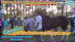 COMPILADO DEL HIPICO SANTA ANA CORRIENTES LUNES 13 10 2014 [upl. by Assyli]