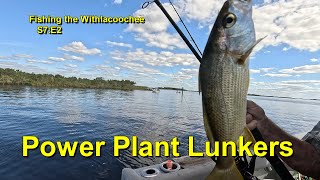 Fishing the Withlacoochee S7E2 Power Plant Lunkers 4k60 [upl. by Painter519]