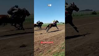 Horse Life risky life 🐎horsepower horseracinujg shortsvideo horsejockey mashroolzack6745 [upl. by Ramedlav]