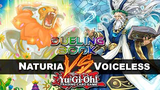 High Rated DB Naturia Runick Vs Voiceless  Uns bagulho doido e etc [upl. by Newra]