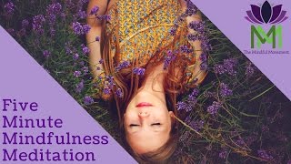 5 Minute Mindfulness Meditation [upl. by Erdnassak]