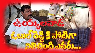 Uyyalavada Boreddy Obul Reddy  గొప్పగా తోలుపెట్టిన గిత్తలు ఎక్కువ లెక్కిచిన జిర్రా [upl. by Nnylyma]