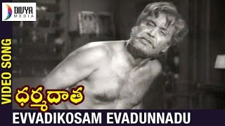 Dharma Daata Telugu Movie  Evvadikosam Evadunnadu Video Song  ANR  Kanchana  Divya Media [upl. by Oinafipe697]