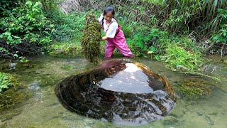 The beautiful woman walked through the culvert and unexpectedly discovered a large river clam [upl. by Bower]